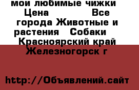 мои любимые чижки › Цена ­ 15 000 - Все города Животные и растения » Собаки   . Красноярский край,Железногорск г.